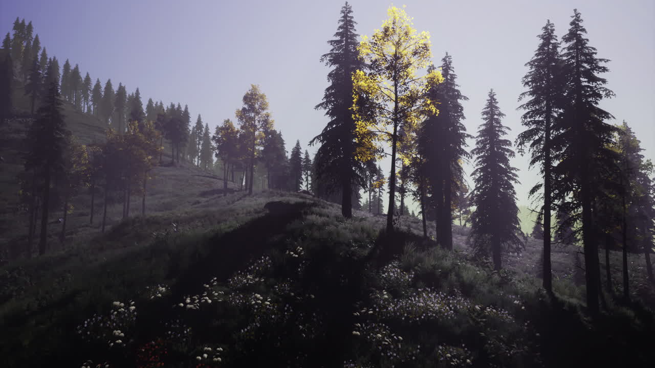 Sunrise over a misty forest with tall trees and wildflowers in bloom