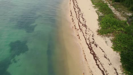 Un-Dron-Cinematográfico-Revela-A-Una-Joven-Hermosa-Corriendo-En-La-Pintoresca-Playa-Vacía-De-Cozumel,-Una-Isla-Mexicana-En-El-Mar-Caribe