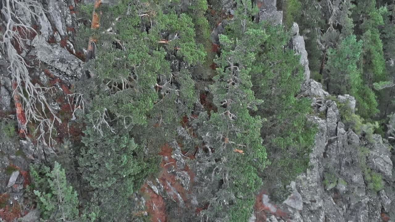 Sito di frana in Georgia che mostra rocce e alberi su un ripido pendio.
