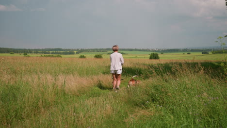 back view of person walking with two dogs on leashes in vast grassy field, being pulled forward by excited dogs, exploring nature under cloudy sky, relaxed outdoor atmosphere