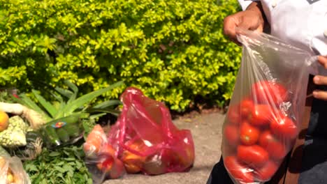 woman buying tomatos in street