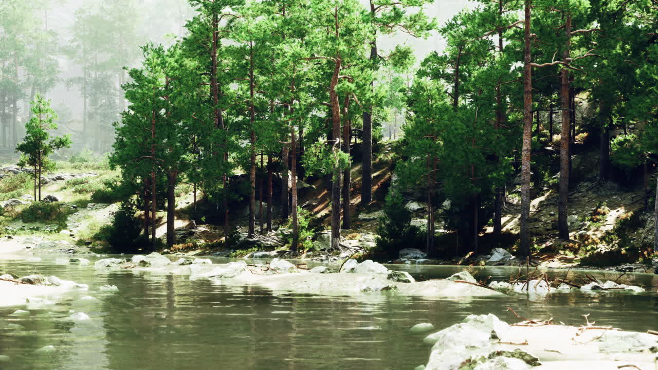 울창한 숲을 가로질러 흐르는 강