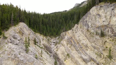 aerial pull in movement in 4k towards a steep rocky gorge in front of vast and untouched coniferous forests in the canadian rocky mountains