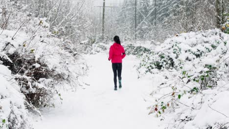 woman jogging on snow covered path during snowfall