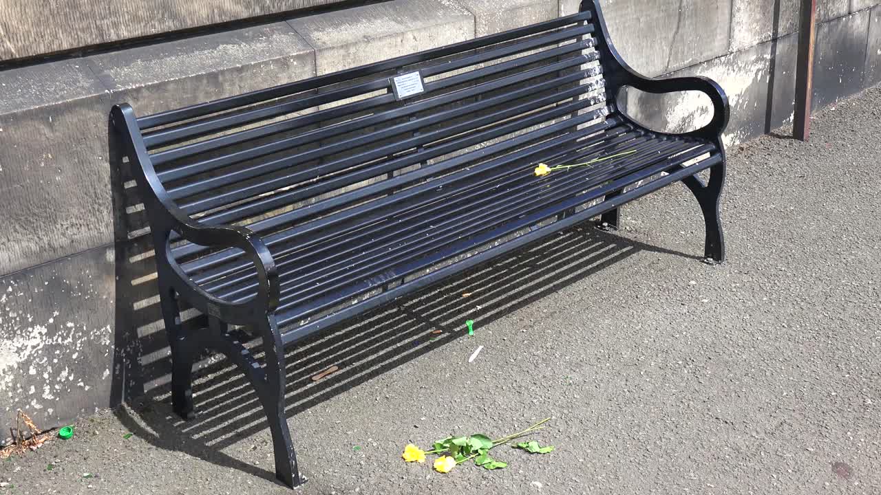 las flores trituradas se sientan en el suelo frente a un banco vacío del parque