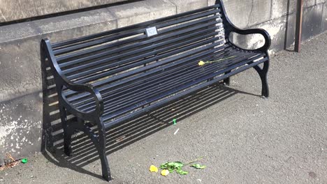 crushed flowers sit on the ground in front of an empty park bench