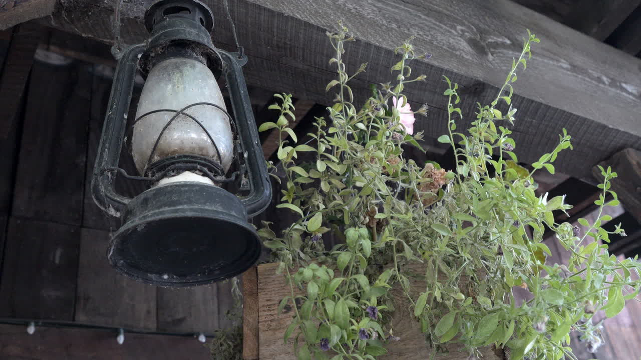 linterna negra rústica con vidrio blanco colgando de una viga de madera cerca de una planta verde, cubierta de telarañas