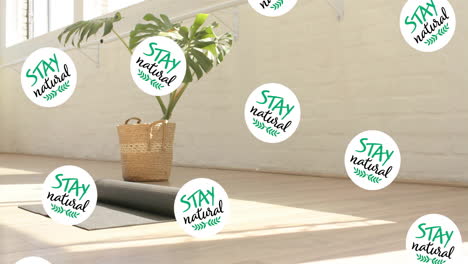 stay natural text animation over yoga mat and plant in bright room