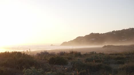 slow motion panning shot of a beautiful beach with plants, sand, the hills in the background and the sea reflecting the sunset on the water