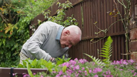 Senior man gardening outdoors