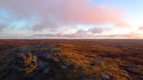 low altitude flight over golden scenery with moor and heather with pink sky at sunset