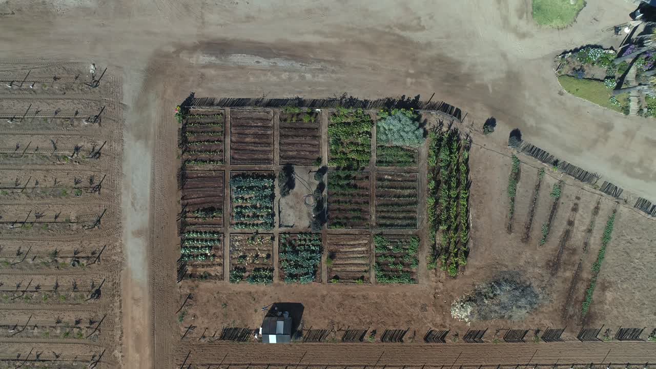 과수원 우나 포도원의 공중 중앙 비행기 샷