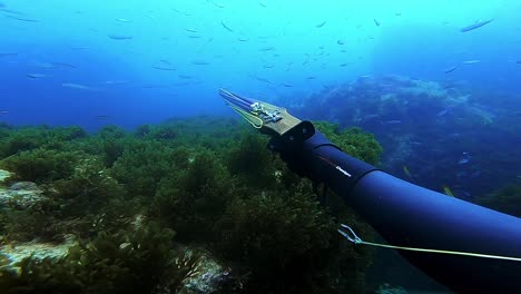 Slow-motion-shot-of-a-diver-aiming-and-firing-his-speargun-and-catching-a-fish