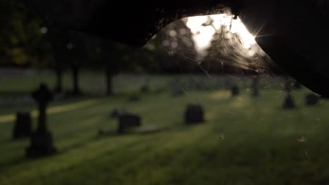 view of graveyard through cobweb on headstone tilting shot