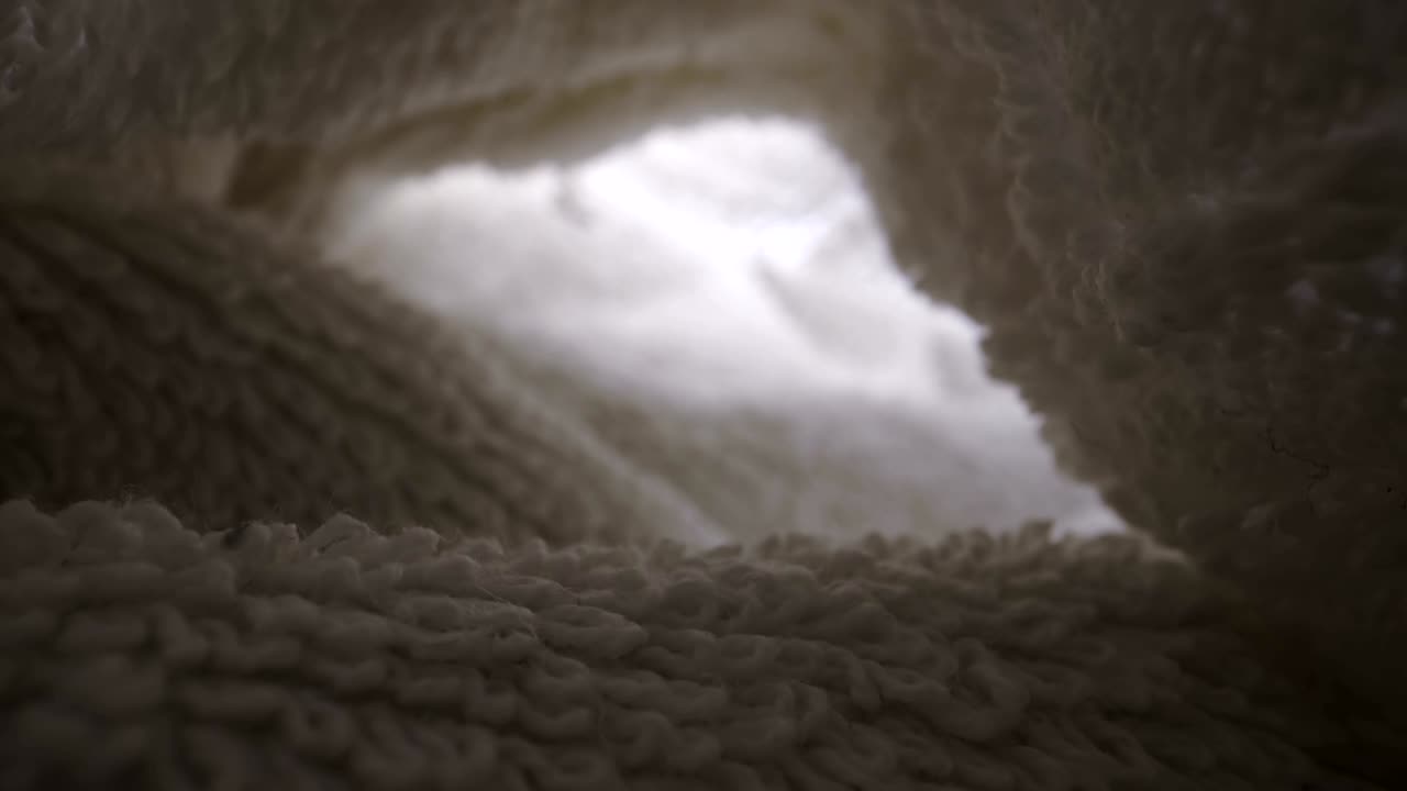 una mirada más cercana dentro de la toalla blanca