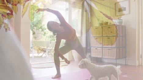 composite video of leaves on a tree against caucasian woman performing yoga while dog watching