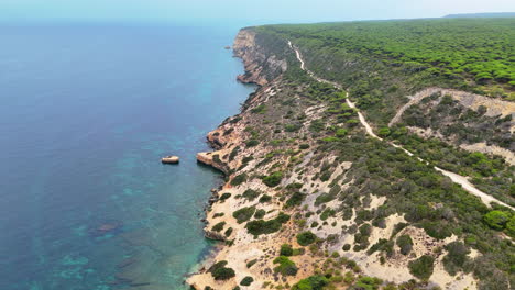 aerial view of a beautiful cliff with a forest of pines in spain near the town of barbate