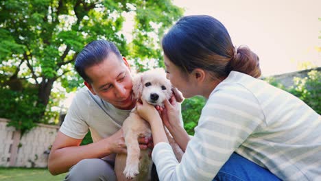 young adult asian couple holding a puppy with home interior in background. 30s mature man holding a dog pet in the garden. husband and wife living together in the house