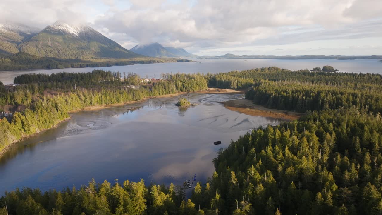 un bosque oceánico con montañas detrás en la costa de columbia británica canadá
