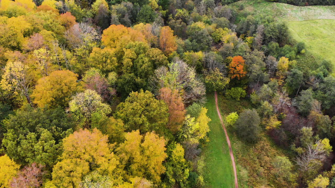 Vibrant colorful autumn forest trees at Lärjeån, Aerial Reveal at Angered, Gothenburg