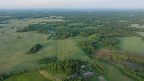 aerial establishing view of ripening grain fields at sunset, organic farming, countryside landscape, production of food, nordic woodland, beautiful golden hour sunset, wide drone shot moving forward