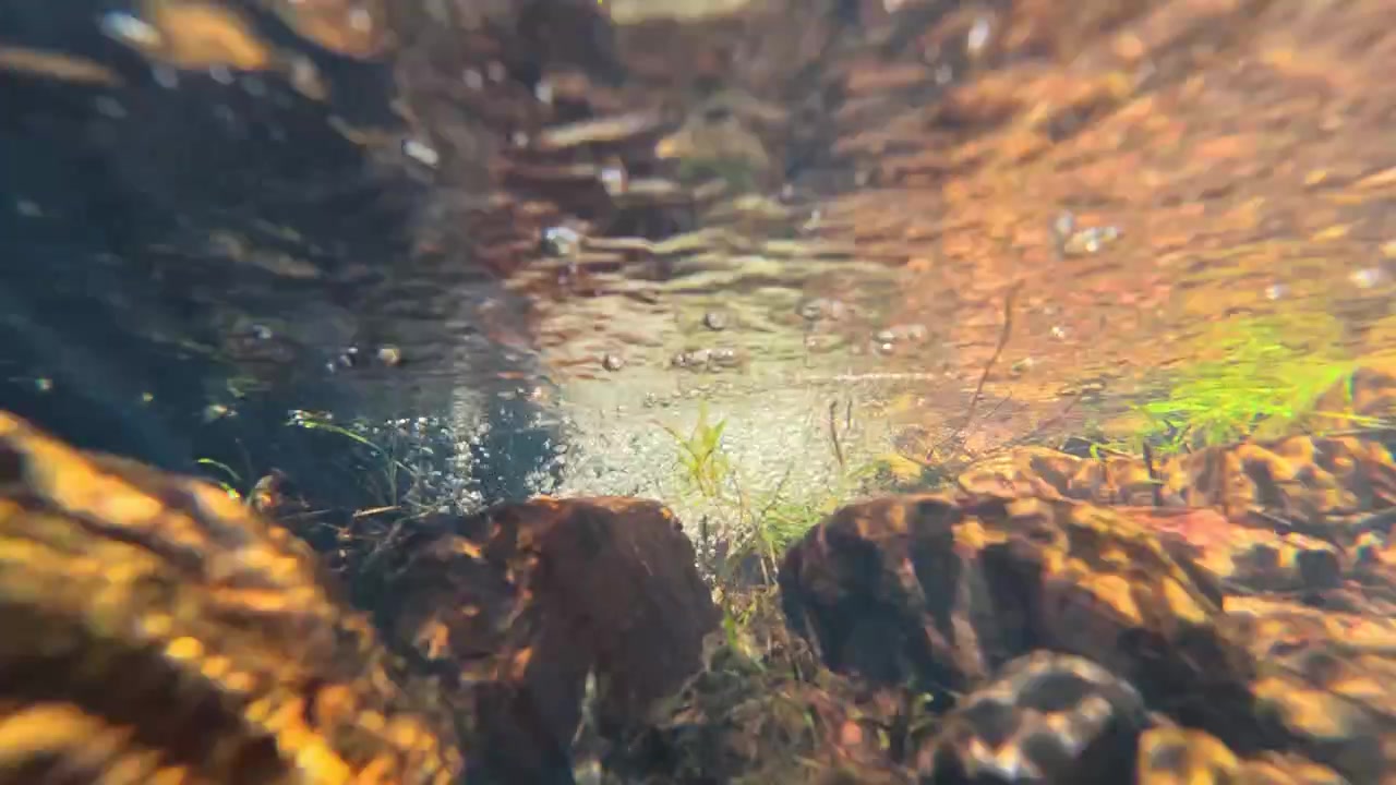 Clear fresh water flows smoothly over submerged rocks and riverbed gravel in bright natural sunlight.