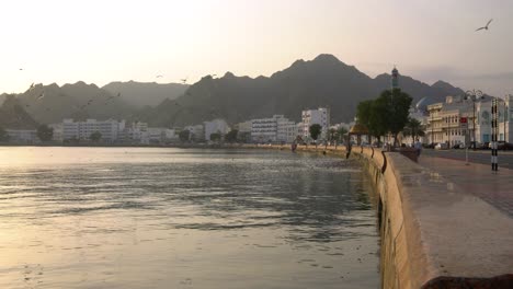 Mutrah-Corniche-Morgendlicher-Sonnenaufgang-Mit-Fliegenden-Möwen