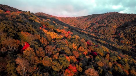 color de las hojas en blue ridge y las montañas de los apalaches en otoño cerca de boone y blowing rock, nc, carolina del norte