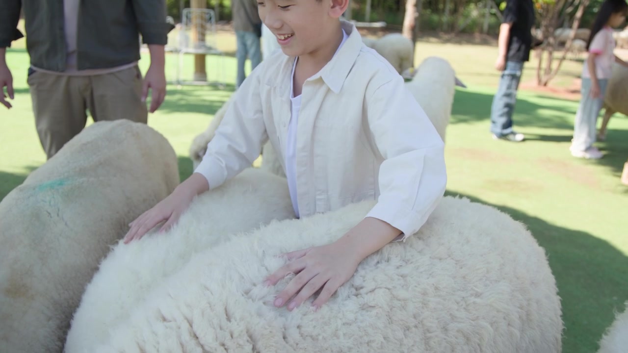 Um menino sorridente de camisa branca acaricia ovelhas fofas em uma fazenda ao ar livre.