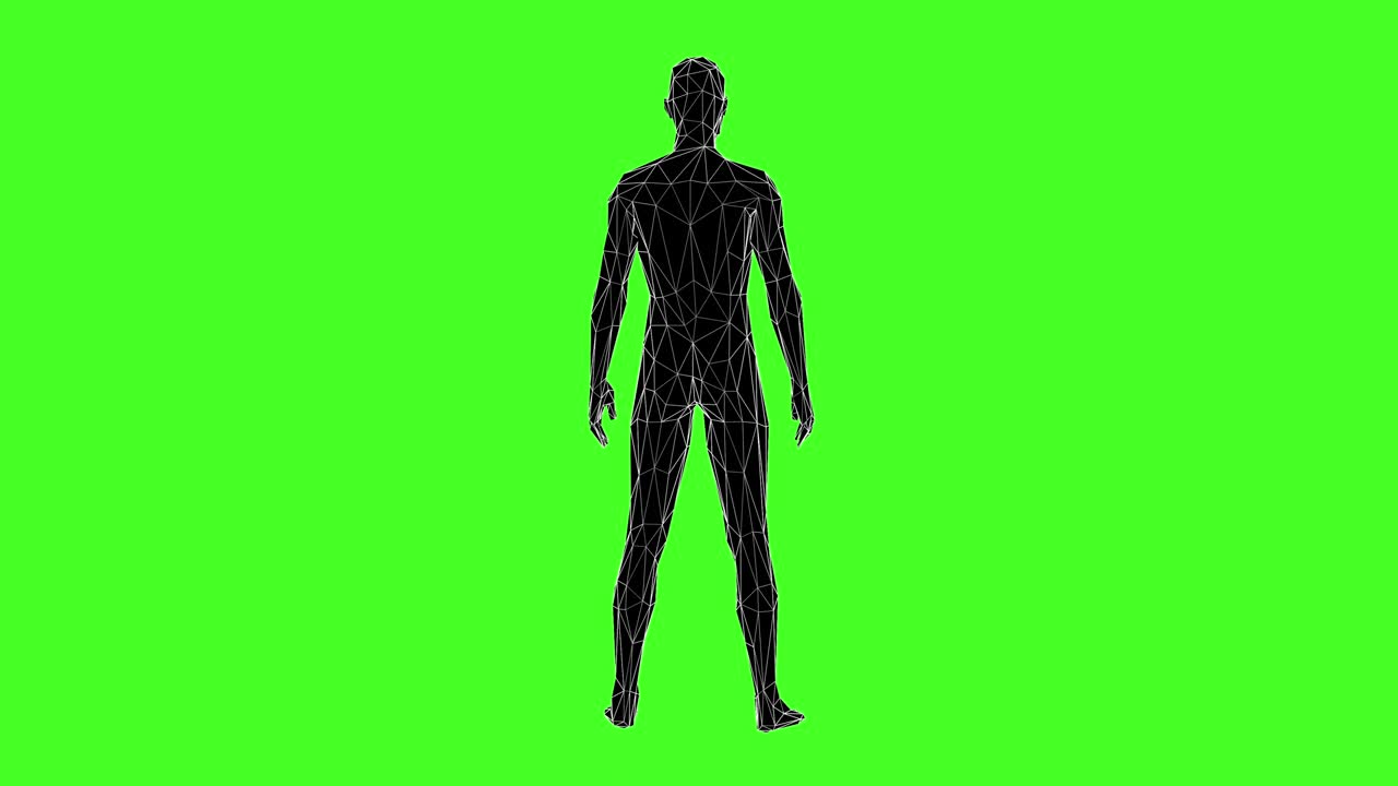 3D Human Wireframe Rotating in the Middle with Green Screen Background 4k