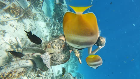 beautiful female diver having fun on an underwater scooter at gili islands