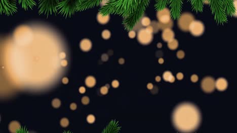 animación de ramas de árboles verdes sobre manchas de luz naranja contra un fondo negro.
