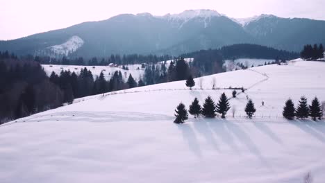 Kleie-Dorf-In-Rumänien,-Heimat-Des-Berühmten-Mittelalterlichen-„Dracula-Schloss“-In-Siebenbürgen