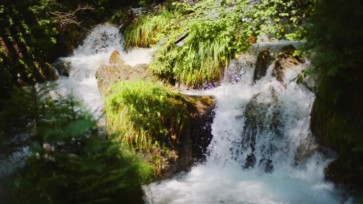 Primo piano di piccola cascata in una foresta con muschio ed erba intorno