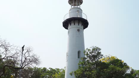 camera pans up a lighthouse surrounded by trees