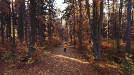 person running through autumn forest with beams through trees in slowmotion with falling leaves