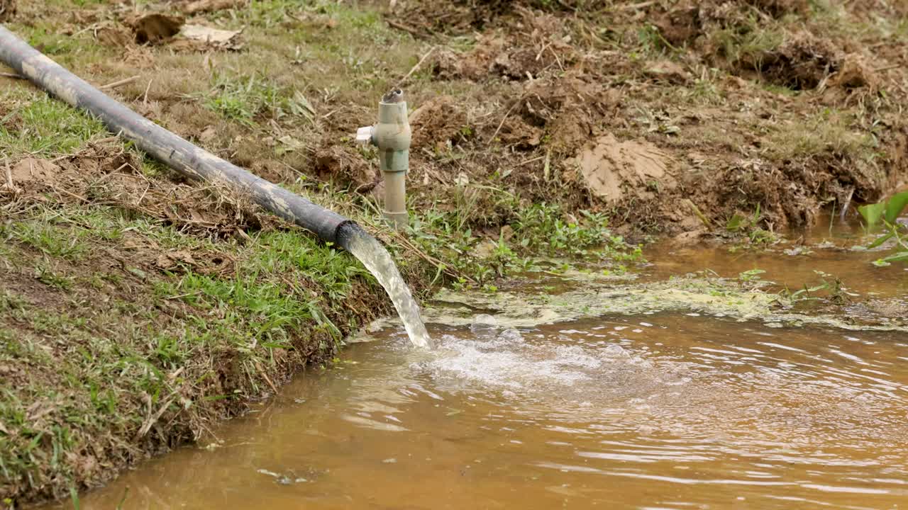 el agua fluye constantemente de una tubería a un canal, destacando las técnicas de riego en un entorno rural de phuket. la iluminación natural mejora la escena