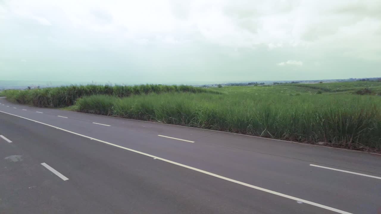 A continuous panning shot of an empty road, surrounded by tall grass. This is also a sugarcane field. Some motorists drive through.