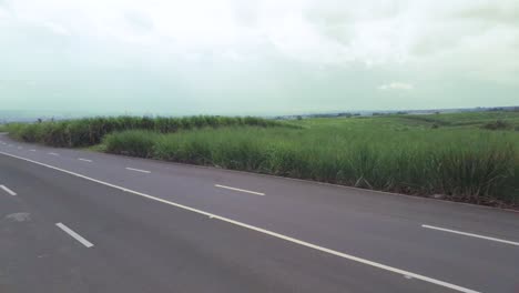 a continuous panning shot of an empty road, surrounded by tall grass. this is also a sugarcane field. some motorists drive through.