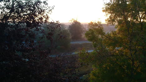 walk in the morning
