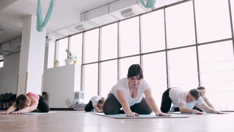 pregnant woman are stretching bodies in a gym