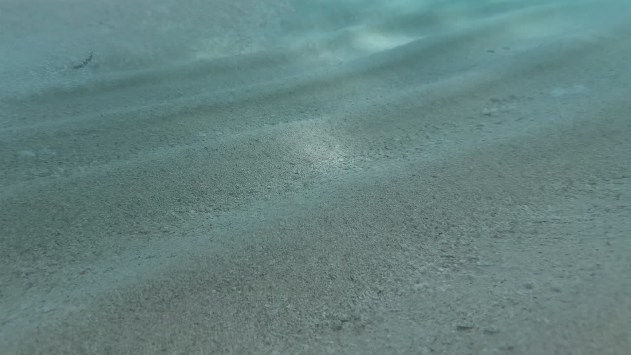 Underwater scene of the ocean