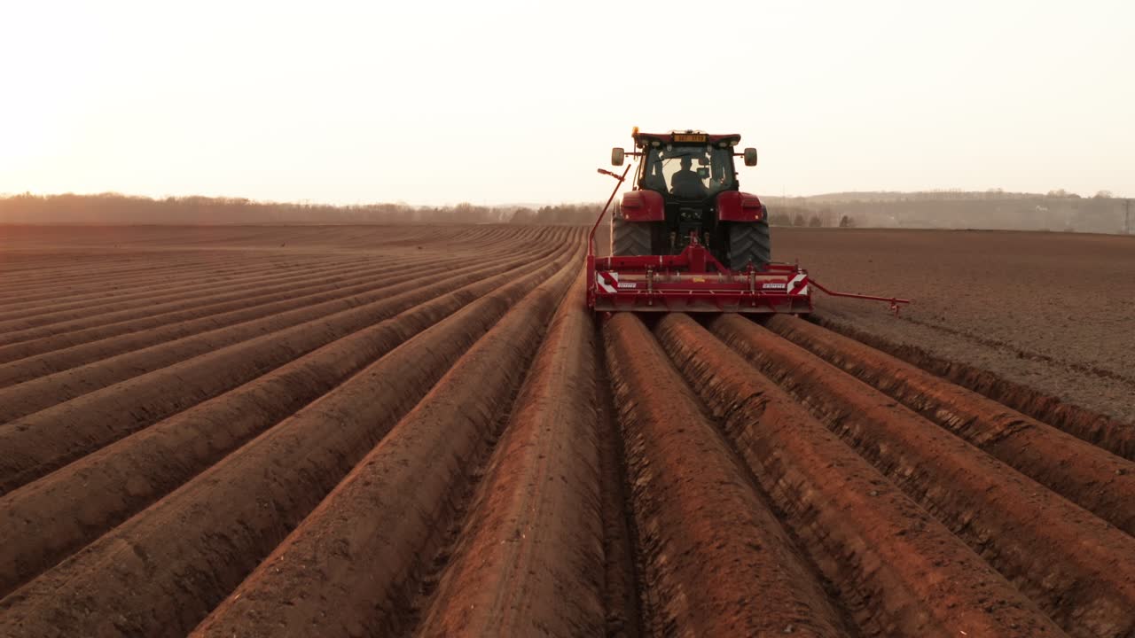 tractor pesado utiliza arado para hacer camas para plantar patatas. comienzo de la temporada de siembra.