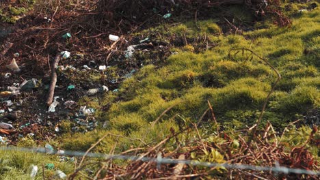 shot revealing pollution in green nature, trash, machachi, ecuador