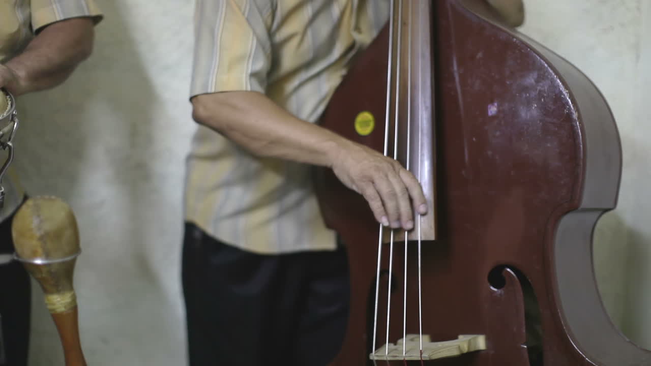 環保加勒比群島的表現 05