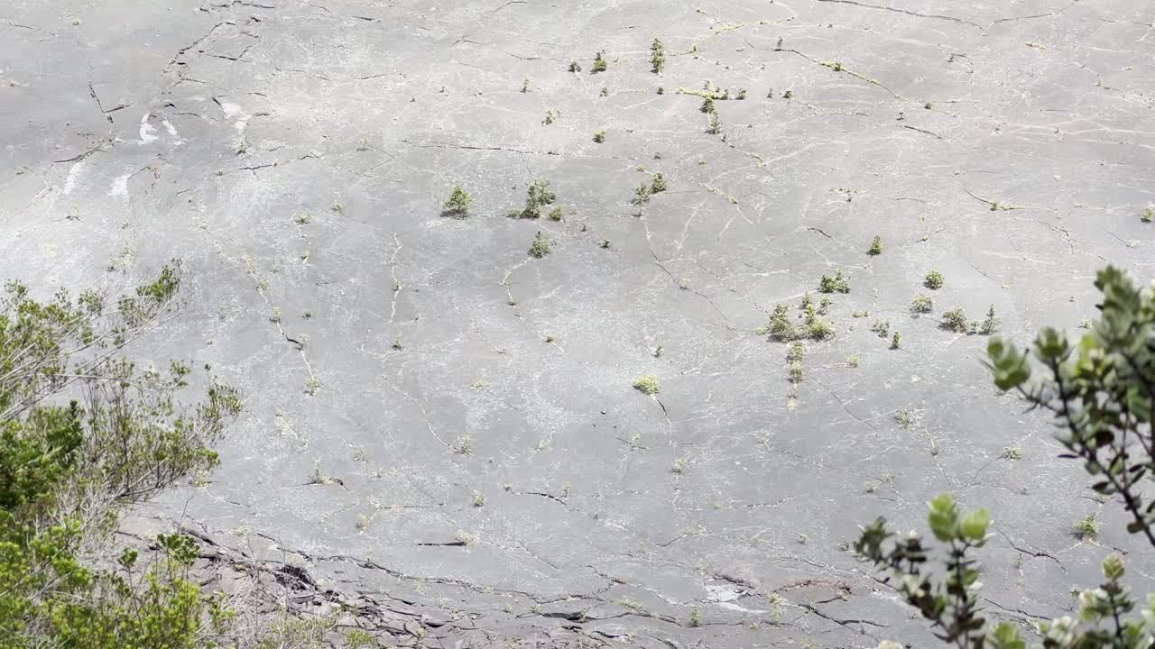 Cinematic long lens booming up shot from an overlook of the hiking trail in the Kilauea Iki dry lava lake bed in Hawai'i Volcanoes National Park