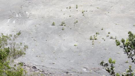 Cinematic-long-lens-booming-up-shot-from-an-overlook-of-the-hiking-trail-in-the-Kilauea-Iki-dry-lava-lake-bed-in-Hawai'i-Volcanoes-National-Park