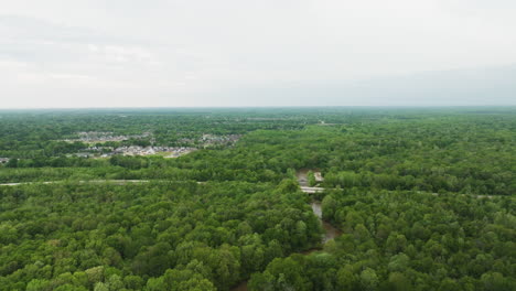 wolf river flowing through lush forests in collierville, tennessee, on a cloudy day, aerial view