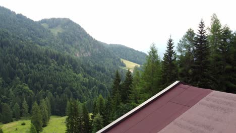 small hut surrounded by green fields and trees in the alps in lofer, austria