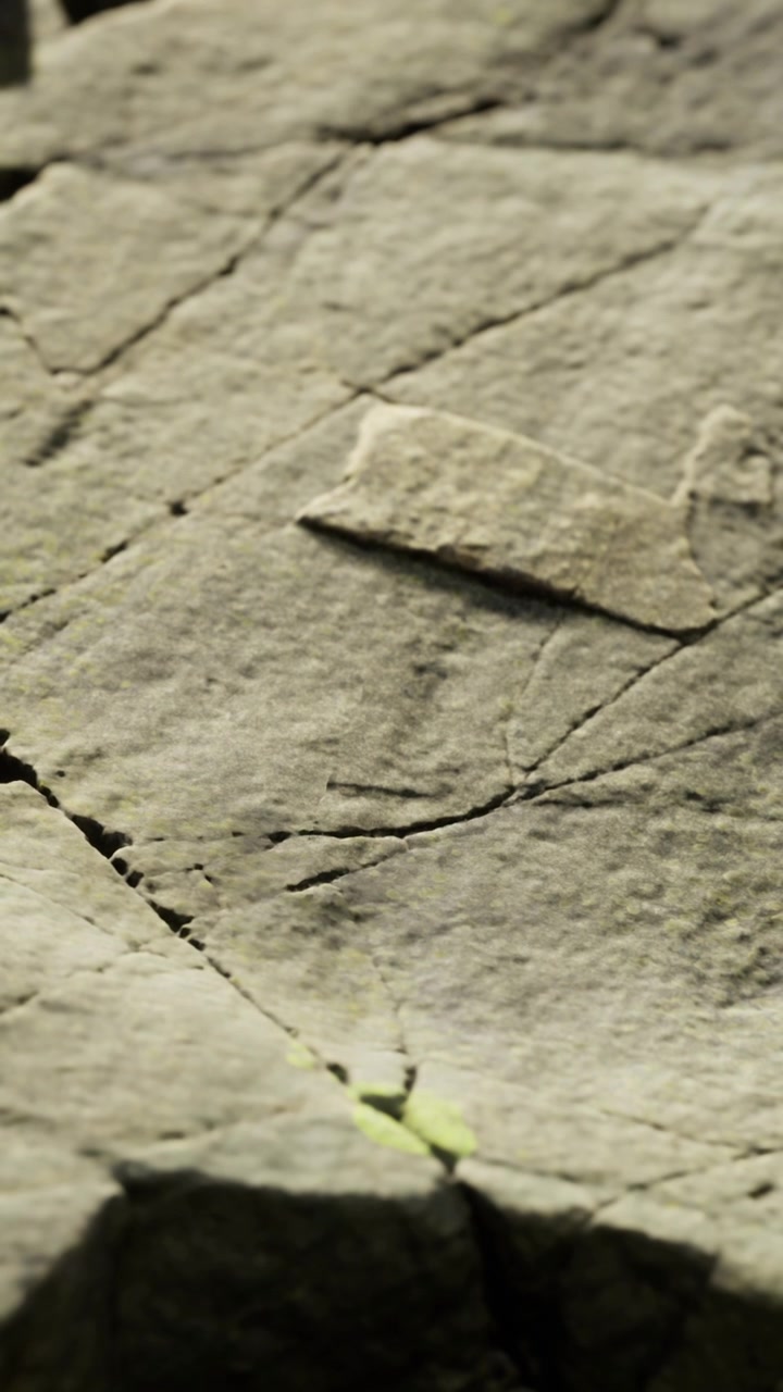 Klippeformation der viser tekstur og mønster på en stenoverflade i naturen.